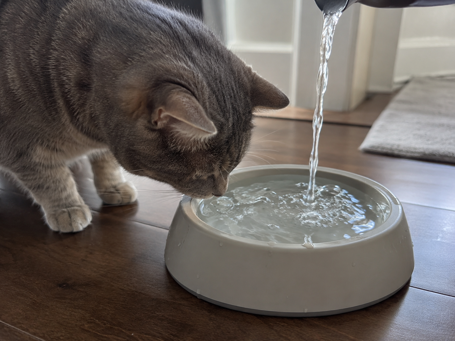 Geruch und Geschmack des Wassers haben sich verändert